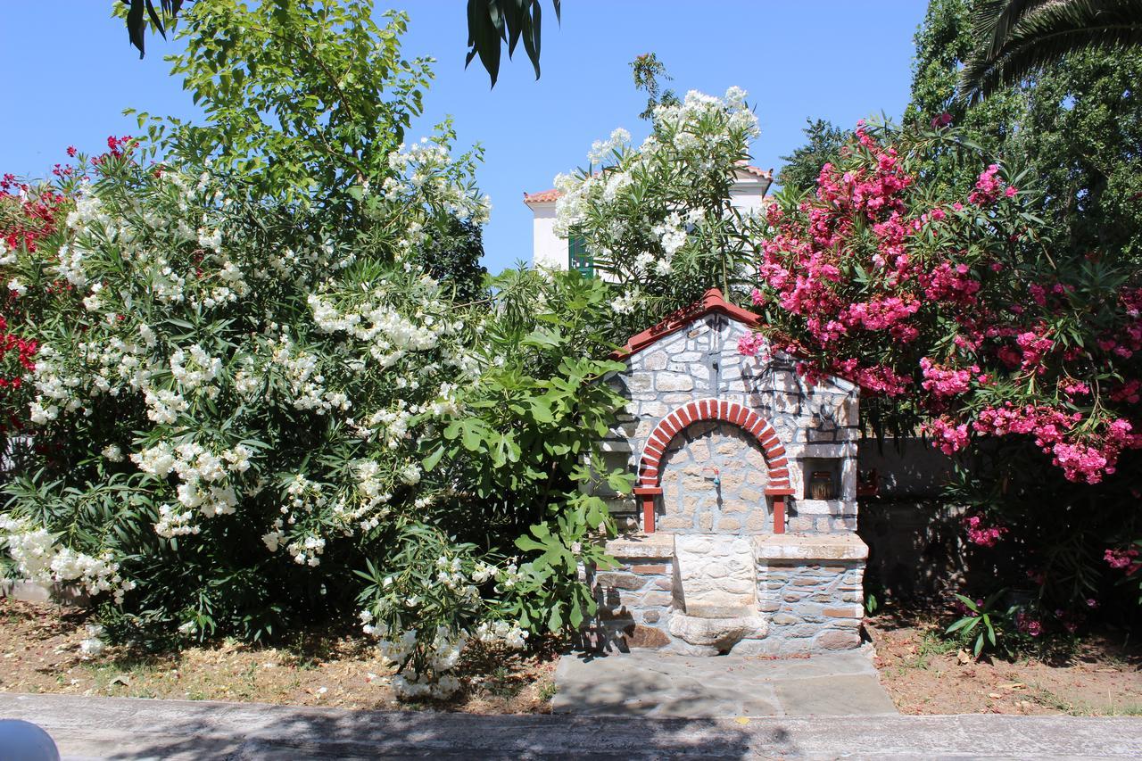 Studio Aspa Daire Skála Eresoú Dış mekan fotoğraf